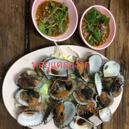 หอยแคลงลวก