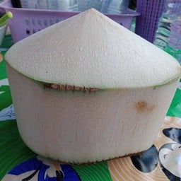 น้องเนสน้ำมะพร้าวน้ำหอม