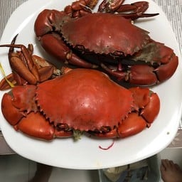 ปูม้านึ่ง ปูทะเลนึ่ง กุ้งนึ่ง หัวปลาเก๋าต้มเต้าเจี้ยว 094-2639828 095-1413457