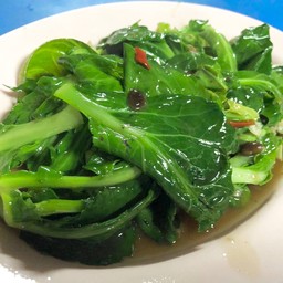 แขนงน้ำมันหอย