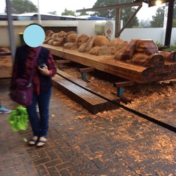 NZ Maori Arts & Crafts Institute