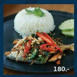 ข้าวกะเพราปลาทู