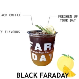 ☆ Black Faraday