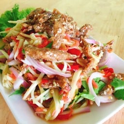 แอบชิวยำกะย่าง