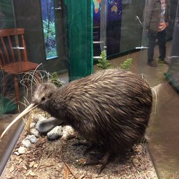 Rainbow Springs Nature Park