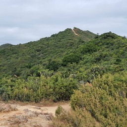 Dragon's Back Trail