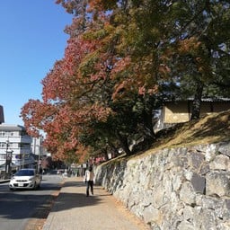 Kofukuji Temple