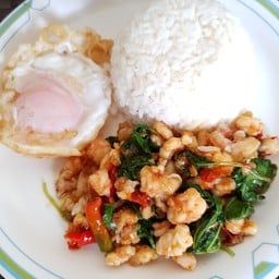 ข้าวกะเพรากุ้งสับ-ไข่ดาว