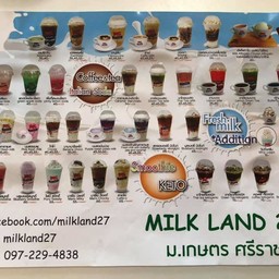thai denmark milk land ราคา 2017
