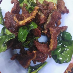 ปากหนามเนื้อ