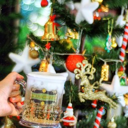 🎄Merry Christmas🎄