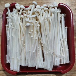 เห็ดเข็มทอง