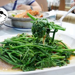 ผัดยอดมะระน้ำมันหอย