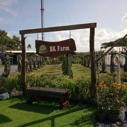 Bk Farm