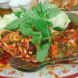 ปลาช่อนลุยสวน