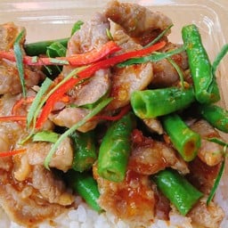 หมูหมักผัดพริกถั่วราดข้าว