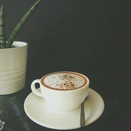 ม๊อคค่าร้อน