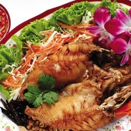 ปลาช่อนแดดเดียว