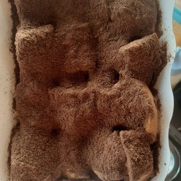 ปังปิ้งเนยนมโอวัลติน