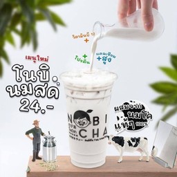 โนบินมสด