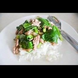 คะน้าหมูชิ้นราดข้าว