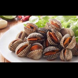 หอยแครงลวก