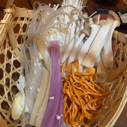 เห็ดและเส้นต่างๆ