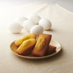 FINANCIER