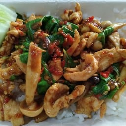 ข้าวกระเพราไก่เห็ดญี่ปุ่น