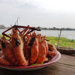 กุ้งแม่น้ำเผา