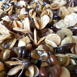 ร้านพี่จิ๋มถั่วทอดเจ้าเก่าเทเวศร์