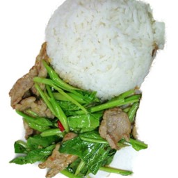 ข้าวราดผัด ผักคะน้า