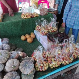 มีผลไม้จากชาวบ้านมาขาย