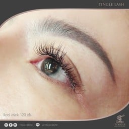 https://www.facebook.com/TINGLEBROW/