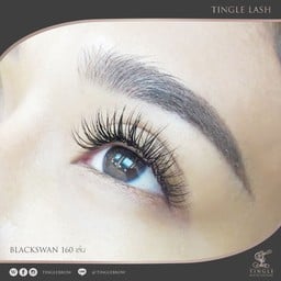 https://www.facebook.com/TINGLEBROW/