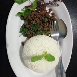 กะเพราเนื้อสับ (กับข้าว)