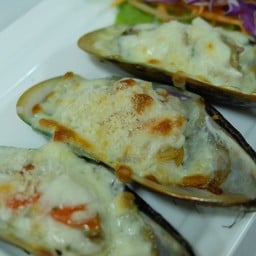 หอยนิวซีแลนด์อบชีส