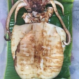 หมึกหอมย่าง