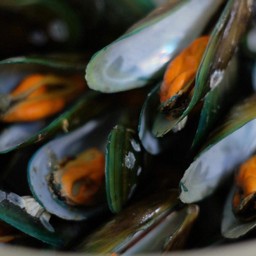 หอยแมลงภู่