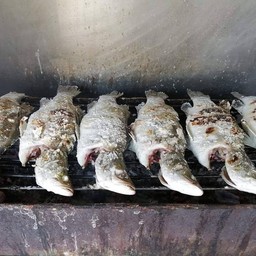 ปลากระพงเผาเกลือ