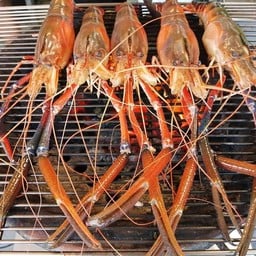 กุ้งแม่น้ำเผา ไซส์7-10ตัว ต่อกิโล