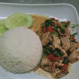 กระเพราหมูชิ้น