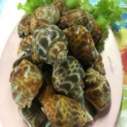 หอยหวานเผา