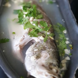 ปลากะพงนึ่งมะนาว