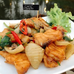 ปลากระพงผัดเกี้ยมฉ่าย