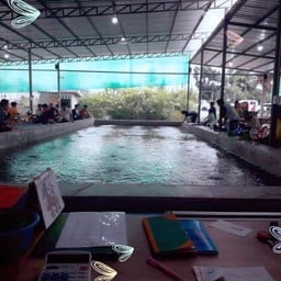 เงาน้ำ บ่อตกกุ้ง