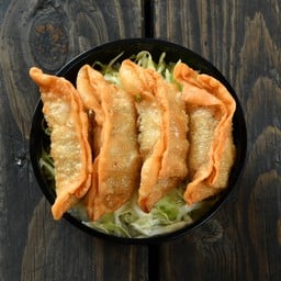 Gyoza Mini Donburi