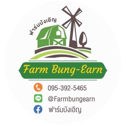 สลัด ฟาร์มบังเอิญ-ผักอินทรีย์ ลำลูกกาคลอง 10