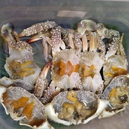 ปูม้าไข่ดองน้ำปลาไข่แน่นๆ