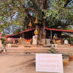 พระพุทธรูปยืนมงคล